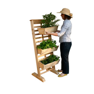 Vertical Gardening Solutions